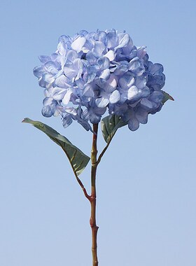 仿真花绣球单枝雅韵巴洛