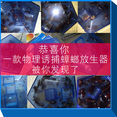 灭蟑螂药捕捉器家用非无毒除杀活抓蟑螂盒全窝室内端蟑螂诱捕屋 - 图3