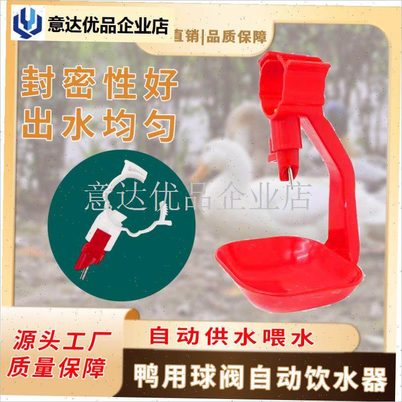 子钢球饮水器鸭用自动饮水嘴吊杯鸡鸭鹅L不锈钢乳头吊杯饮水器,,淘宝优惠券,粉丝福利购,淘宝优惠卷