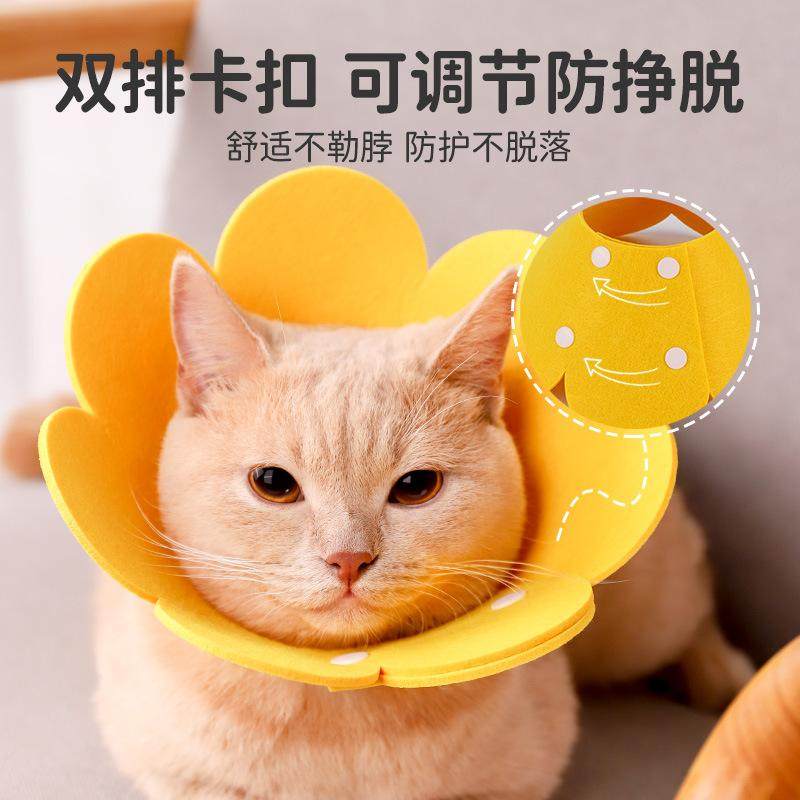 伊丽莎白圈猫咪绝育项圈狗狗脖圈伊利沙白圈防舔颈圈头套宠物用品,淘宝优惠券,粉丝福利购,淘宝优惠卷