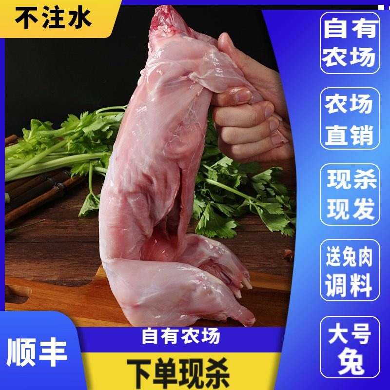 新鲜兔肉整只现杀冷冻兔子肉特大号兔农家散养去头生肉食材2.5斤,淘宝优惠券,粉丝福利购,淘宝优惠卷