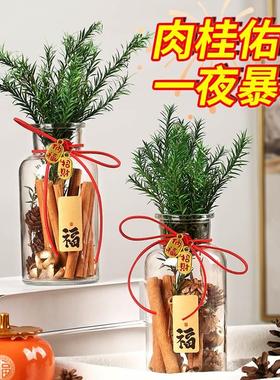 肉桂生财摆件发招米桂皮聚米瓶子diy客财厅位工位办公室乔迁搬家