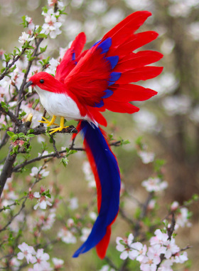 仿真彩色长尾羽毛鸟摄影装饰摆件