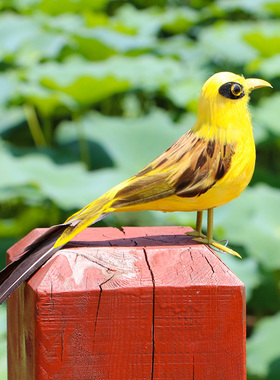 仿真羽毛黄鹂客厅盆景橱窗装饰