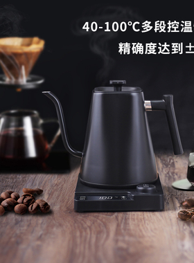 德国智能变频恒温长嘴电热水壶