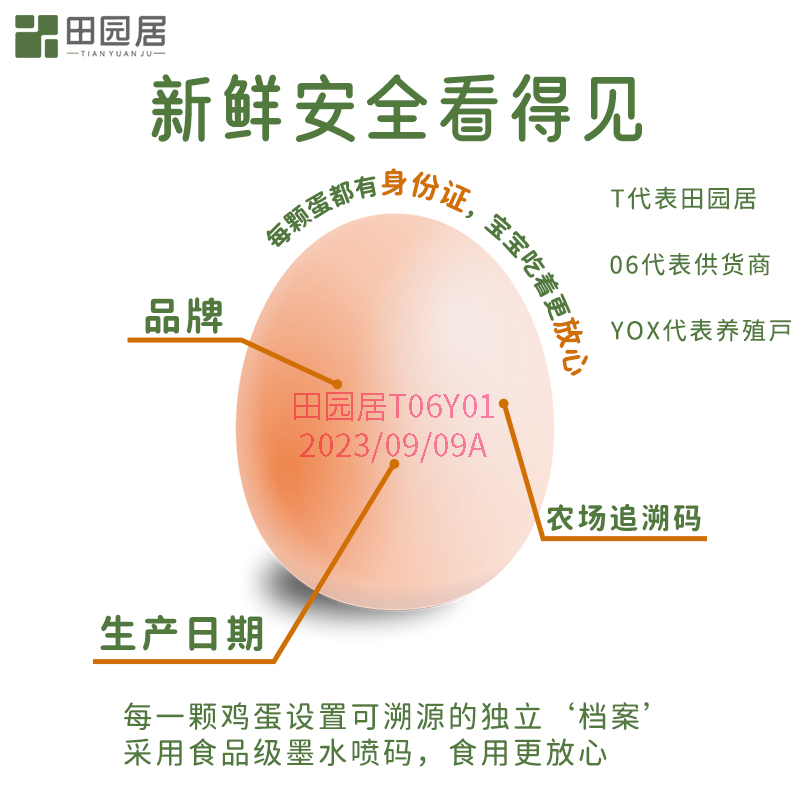 【年中狂欢节】田园居鸡蛋45g*10枚新鲜散养土鸡蛋农家正宗草鸡蛋 - 图1