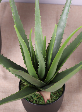 北欧仿真芦荟盆栽 室内家居装饰大盆多肉摆件 仿真绿植芦荟