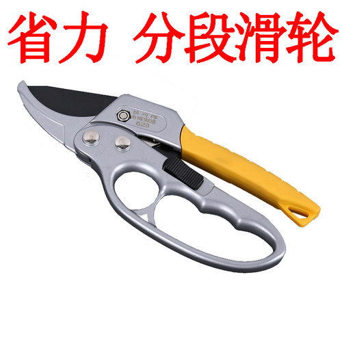 修枝剪 树枝剪刀枝剪修剪花艺园艺剪葡萄家用火龙果专用果树工具 - 图3