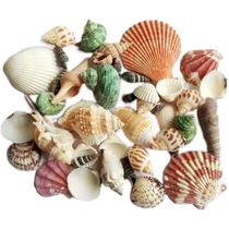 Aqumotic 500g Shell Union Mix Natural Sea Shells Conch