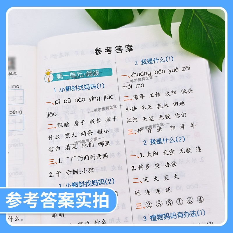 2026秋绿卡图书小学学霸语文天天计算默写英语天天默写数学一二三四五六年级上册下册人教版同步练习专项训练单元复习知识点基础