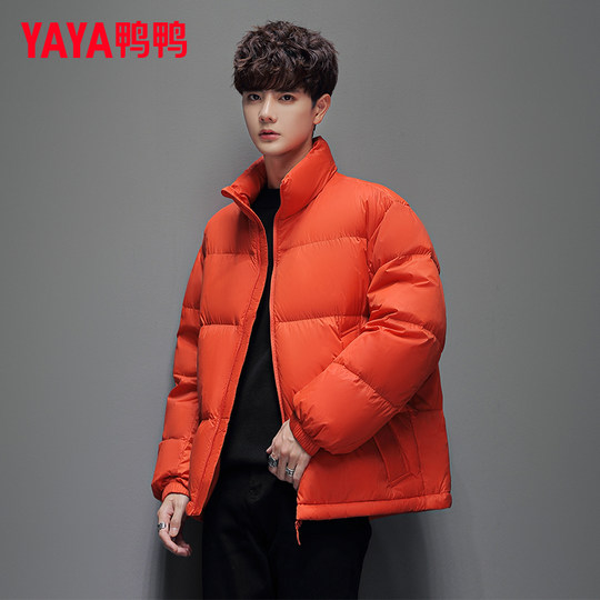 Entendaunenjacke für Herren, Wintermode, neuer Stil