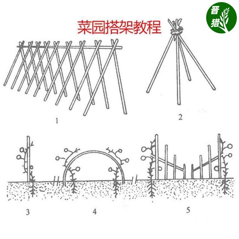 竹竿菜园搭架黄瓜架杆庭院家用豆角爬藤架篱笆栅栏户外种菜竹子杆-图2