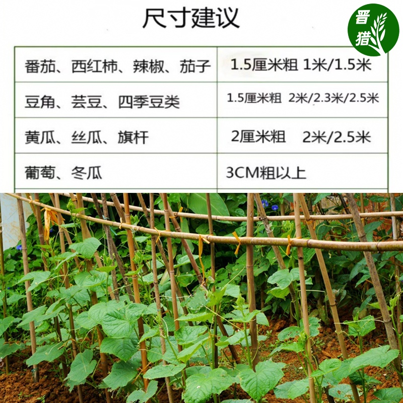 竹竿菜园搭架黄瓜架杆庭院家用豆角爬藤架篱笆栅栏户外种菜竹子杆-图1