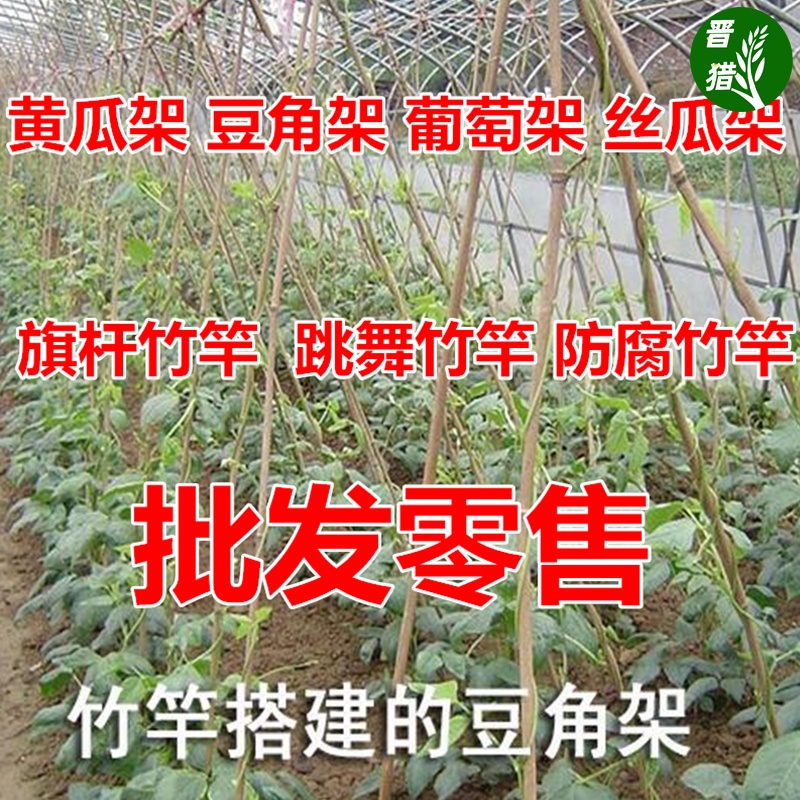 竹竿菜园搭架黄瓜架杆庭院家用豆角爬藤架篱笆栅栏户外种菜竹子杆-图0