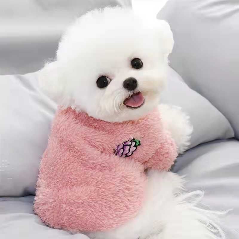 博美犬杯 新人首单立减十元 22年10月 淘宝海外