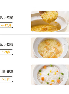 浦利顿辅食锅婴儿宝宝辅食饭煲电炖锅BB微压煲煮粥炖盅PLD-DG10A
