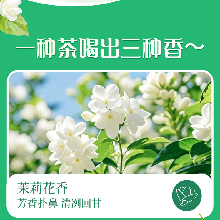 蜜雪冰城茉莉奶绿秋冬热饮冲泡饮品便携独立包袋装奶茶茉莉黑咖啡,淘宝优惠券,粉丝福利购,淘宝优惠卷