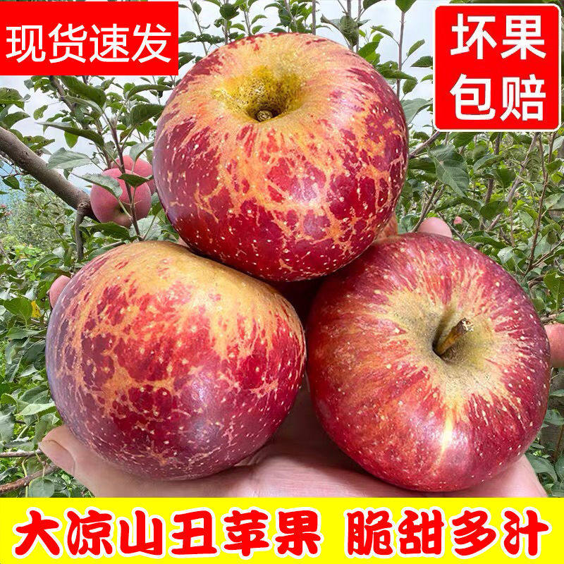 大凉山丑苹果10斤新鲜红富士当季脆甜现摘孕妇冰糖心当季现摘丑果