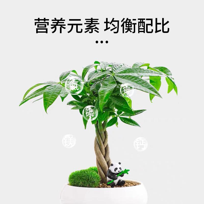 盆栽植物棒状花卉家庭菜地氮磷钾通用型懒人养花缓释片营养棒肥料 - 图3