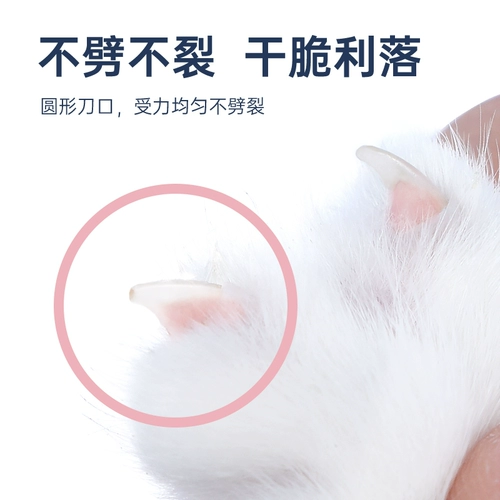 Маникюрные кусачки, кролик для ногтей, ножницы, кот, домашний питомец, котенок