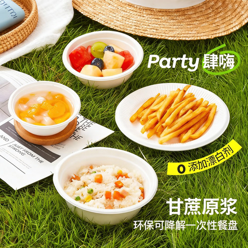 特美居一次性餐具即弃纸碗甘蔗纸浆碗筷套装家用商用可降解野餐盘 - 图0