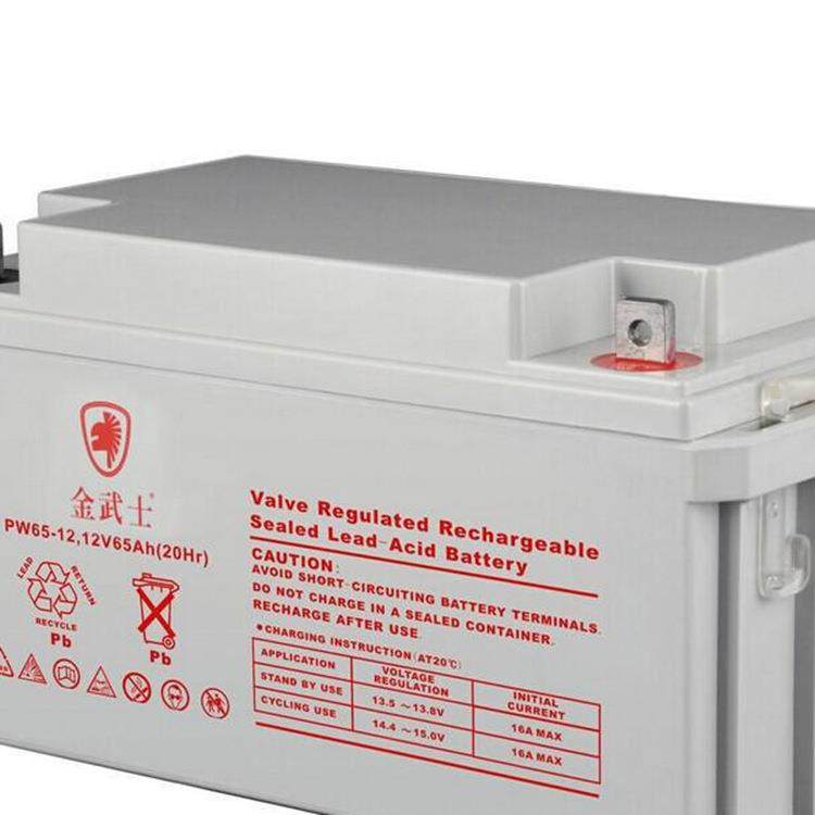 PW12V200AH-YA 12V200AH电源电力应急系统蓄电池,淘宝优惠券,粉丝福利购,淘宝优惠卷