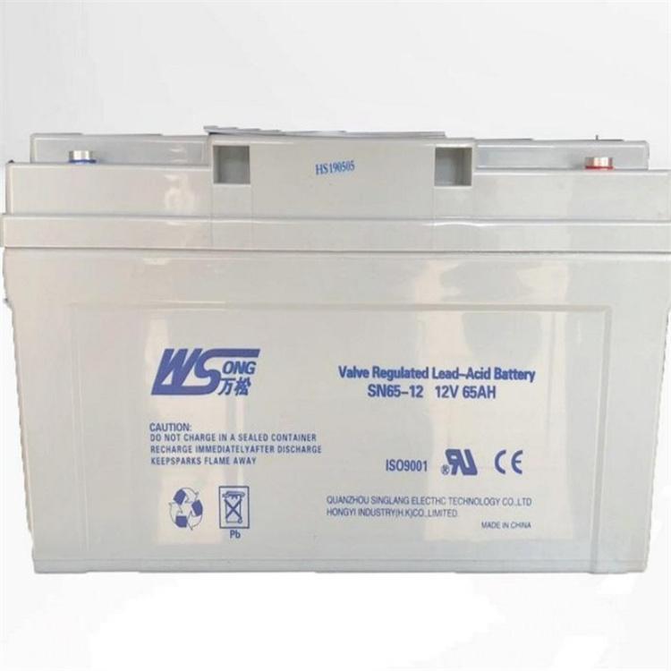 蓄电池SN38-12 无污染长寿命电瓶 大医院手术室UPS不间断电 - 图0