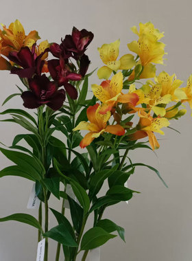 彩色压纹3D百合花六出花婚庆客厅