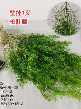 仿真蕨类植物壁挂波斯蕨叶婚庆