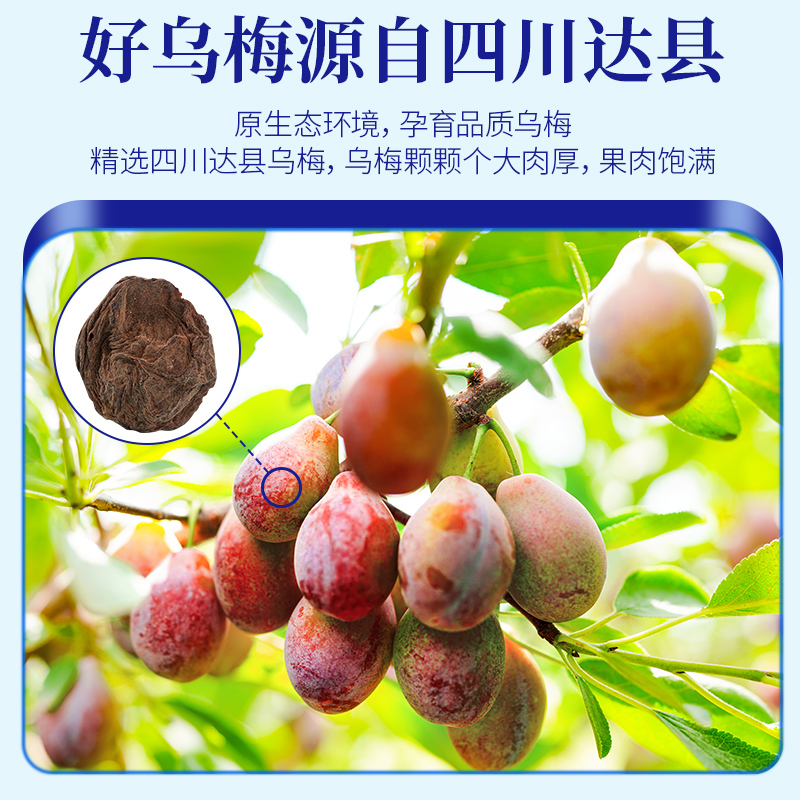 乌梅干乌梅烟熏制中原味大果茶汤料包酸梅汤原材料包茶官方旗舰店 - 图0