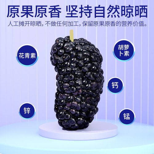桑葚干大罐干果新货黑桑椹正宗无硫泡水新疆500g中药材官方旗舰店 - 图0