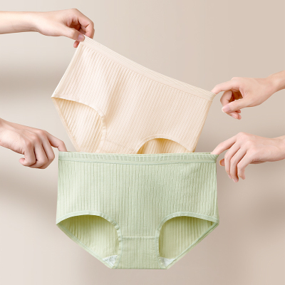 安比斯女士内裤舒适透气