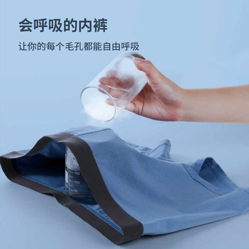 安比斯男士纯棉平角石墨烯抗菌短裤 安比斯内裤