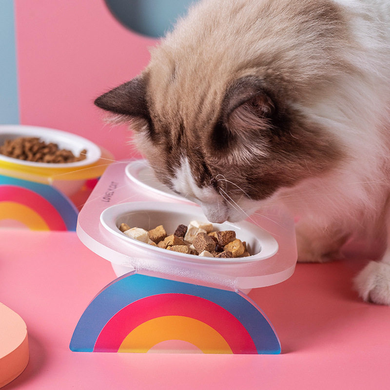 猫碗陶瓷双碗水粮架倾斜宠物用品颈椎碗碗彩虹护高脚碗宠物亚克力,淘宝优惠券,粉丝福利购,淘宝优惠卷