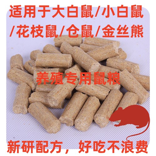 大小白鼠鼠粮花枝鼠粮小鼠爱吃高蛋白大颗粒繁殖粮仓鼠金丝熊 - 图2