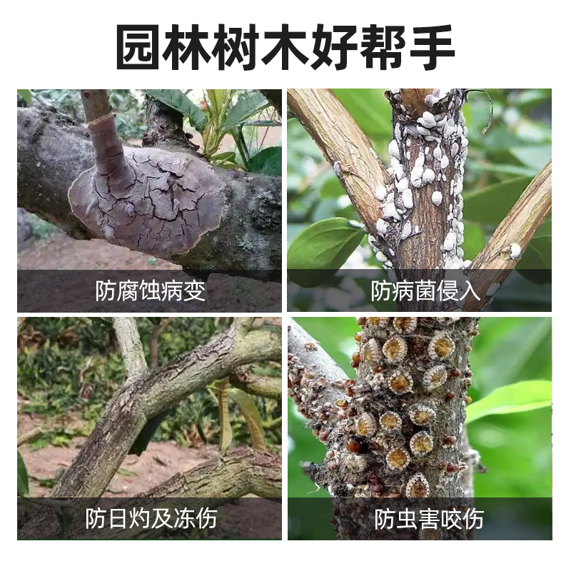 树木涂白剂刷白防虫蚀防冻霜果树防虫防寒防日灼石灰粉可喷可涂剂 - 图3