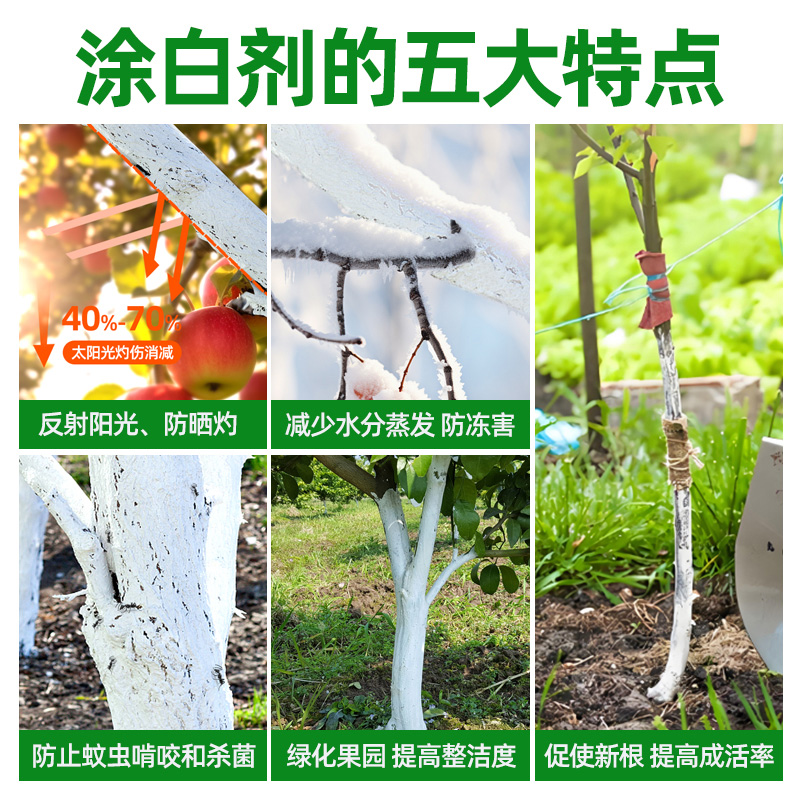 树木涂白剂刷白防虫蚀防冻霜果树防虫防寒防日灼石灰粉可喷可涂剂 - 图1