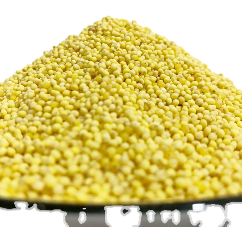 山西特产正宗大黄米新米黏黍子米软粘糯米粽子非东北旗舰店,淘宝优惠券,粉丝福利购,淘宝优惠卷