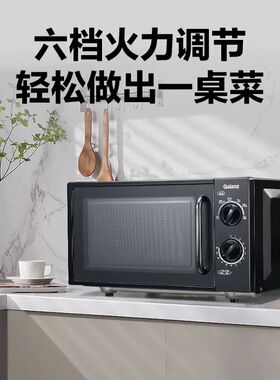 Galanz/格兰仕T70TPDXB1微波炉20L容量操作简易微波炉家用全自动