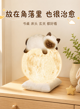 氛围感小夜灯暹罗猫月球灯摆件