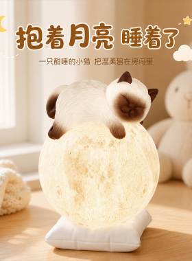 氛围感小夜灯暹罗猫月球灯摆件