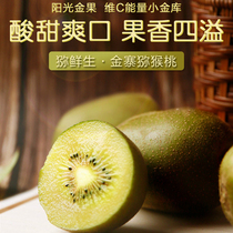 Golden Zhai Yellow Heart Chic Exotic Fruits Fresh pregnant women Fresh pregnant women Season Fruits Large Batch Straight 18 Didge