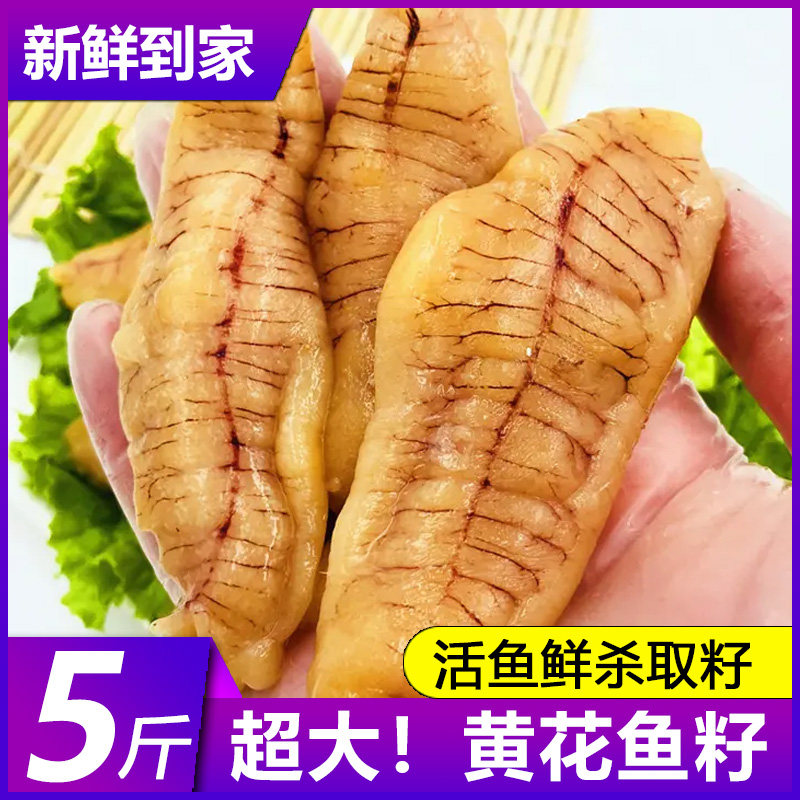  嵩海生鲜淡水鱼类