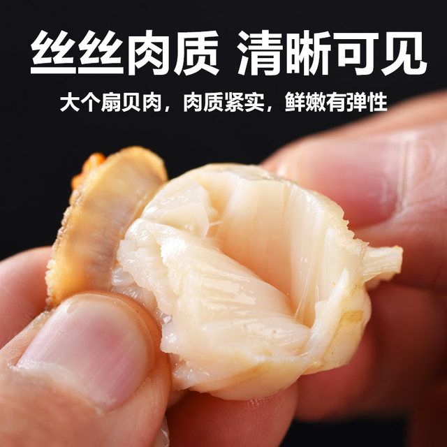 Fresh scallop meat with yellowish paste