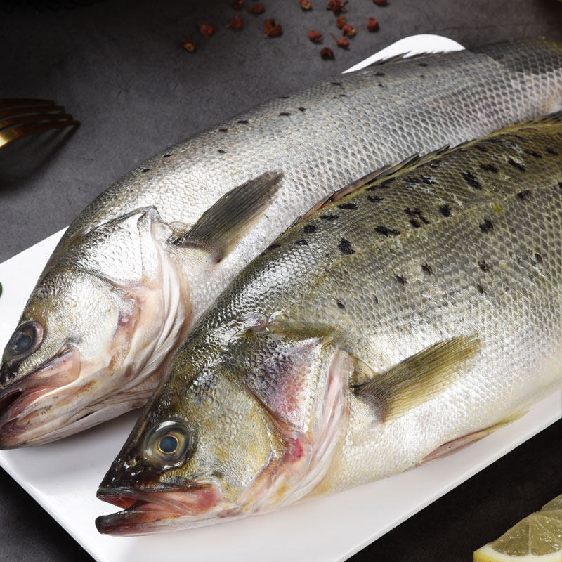 海鲈鱼新鲜冷冻海鱼鲜活深海鱼七星鱼海鲜水产海产品冰鱼卢鱼批发,淘宝优惠券,粉丝福利购,淘宝优惠卷