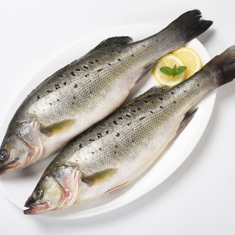 海鲈鱼新鲜冷冻海鱼鲜活深海鱼七星鱼海鲜水产海产品冰鱼卢鱼批发,淘宝优惠券,粉丝福利购,淘宝优惠卷