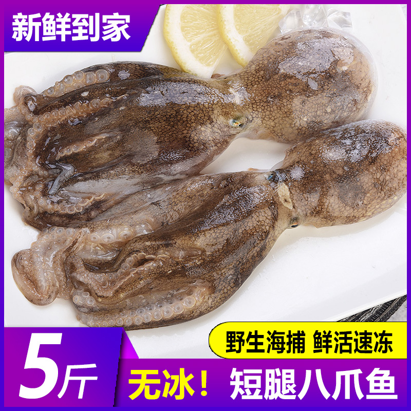  嵩海生鲜冷冻章鱼