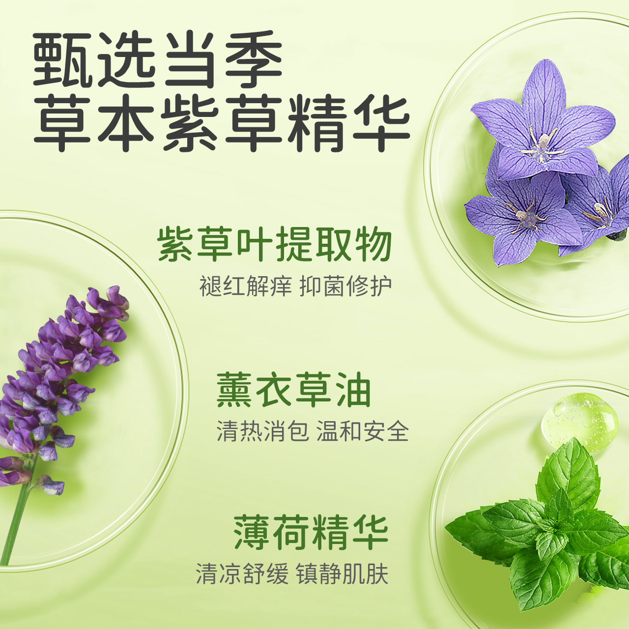 买1送1！植物妈妈宝宝蚊虫止痒紫草膏