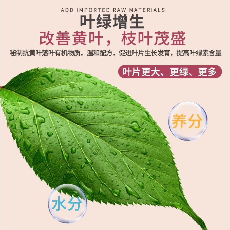 植物通用营养液土培水培发财树绿萝富贵竹盆栽室内外开花促绿肥料,淘宝优惠券,粉丝福利购,淘宝优惠卷