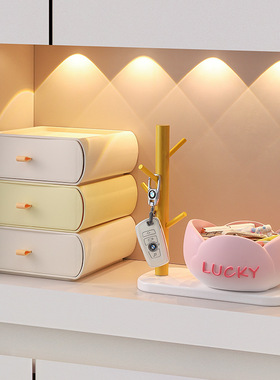 新款创意花盆玄关收纳摆件酒店前台收纳桌面装饰品乔迁礼物